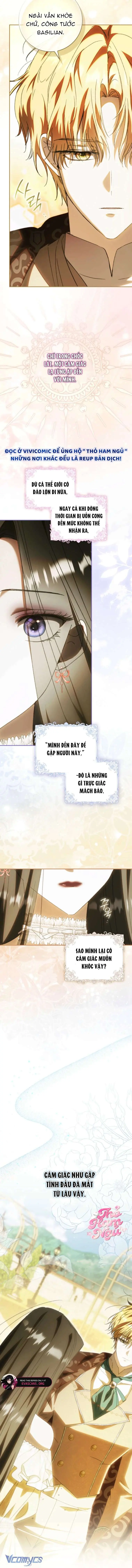 Chồng Tôi Là Bias Số Một, Nhưng Có Vẻ Chúng Tôi Sắp Ly Hôn Chapter 10 - Trang 7