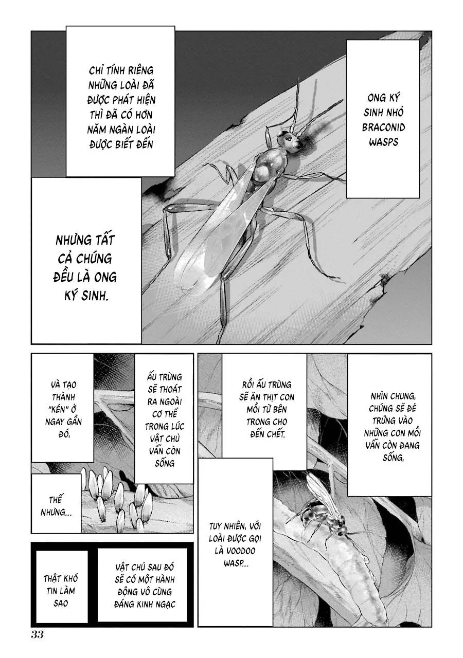 Choubu No Shinobi Chapter 1 - Trang 34