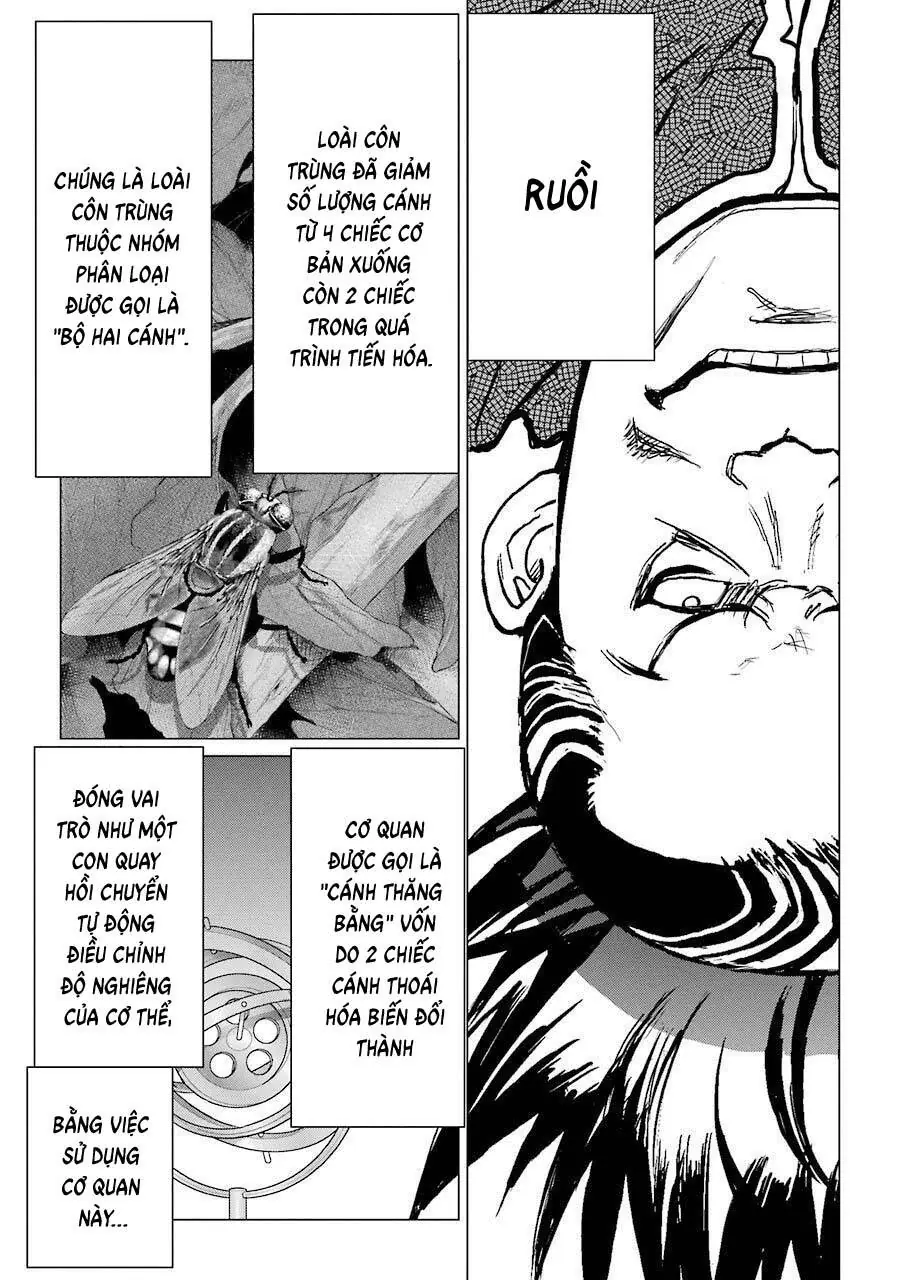 Choubu No Shinobi Chapter 13 - Trang 28