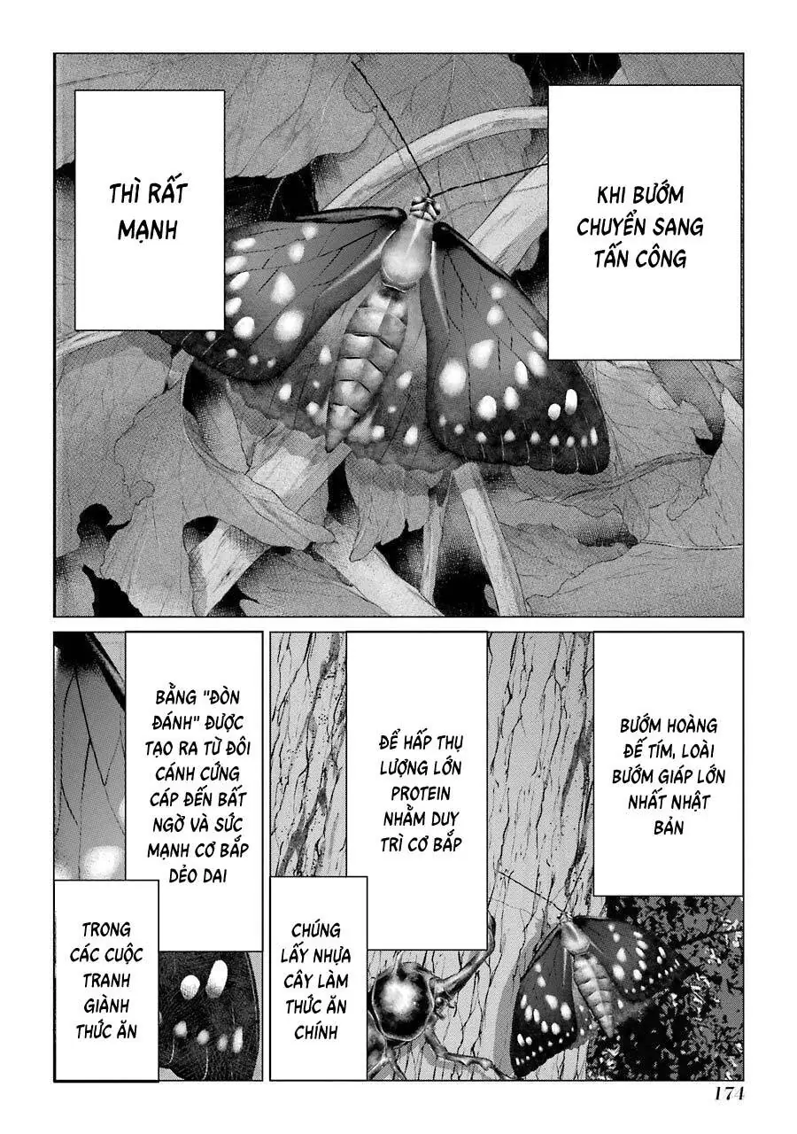 Choubu No Shinobi Chapter 14 - Trang 17