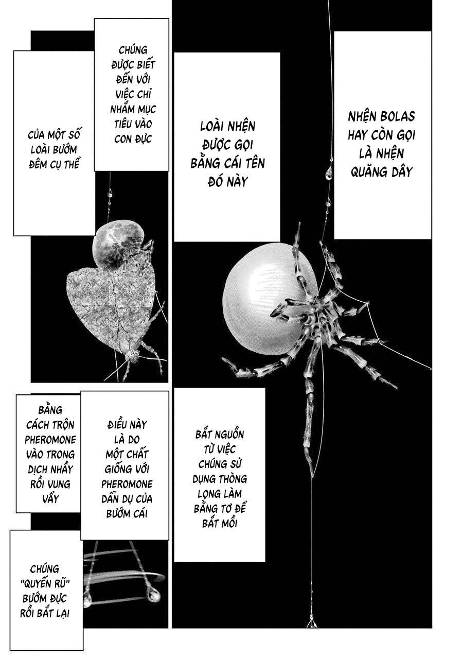Choubu No Shinobi Chapter 15 - Trang 22