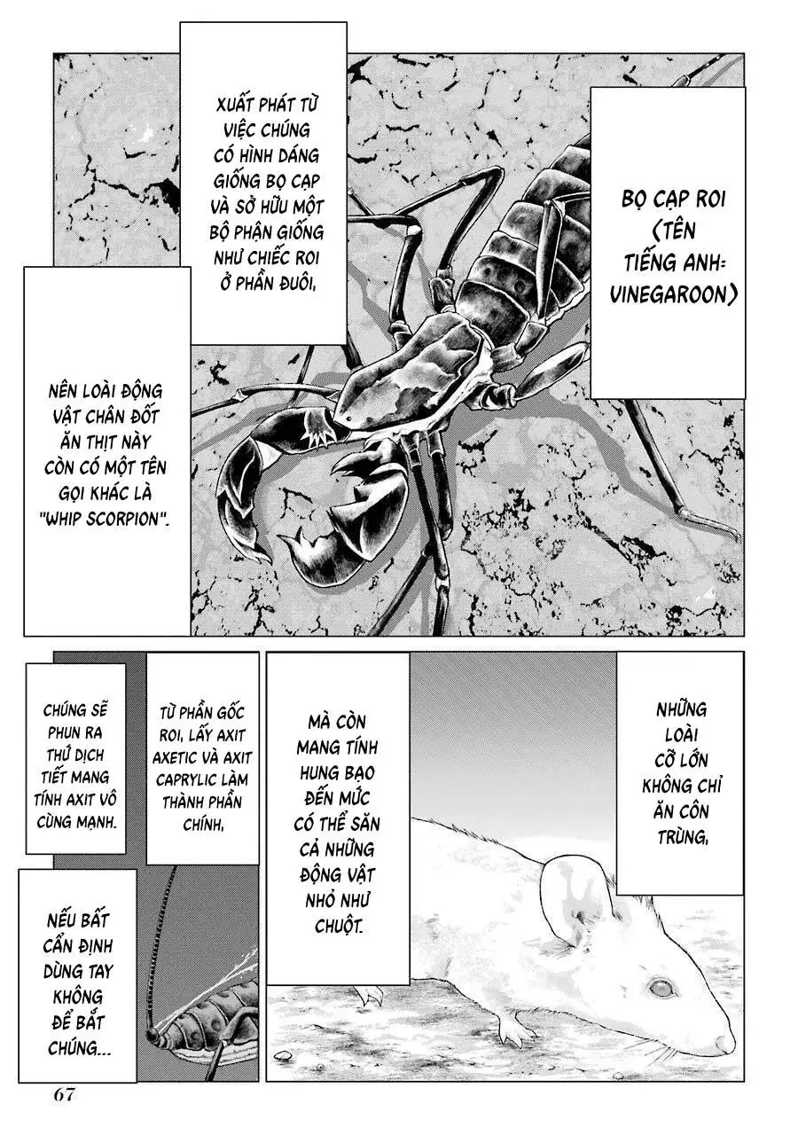 Choubu No Shinobi Chapter 16 - Trang 25
