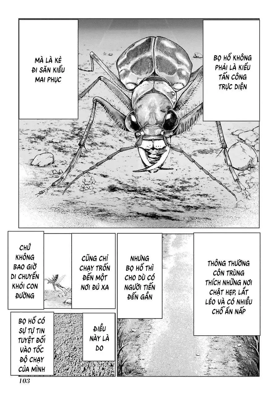 Choubu No Shinobi Chapter 17 - Trang 26