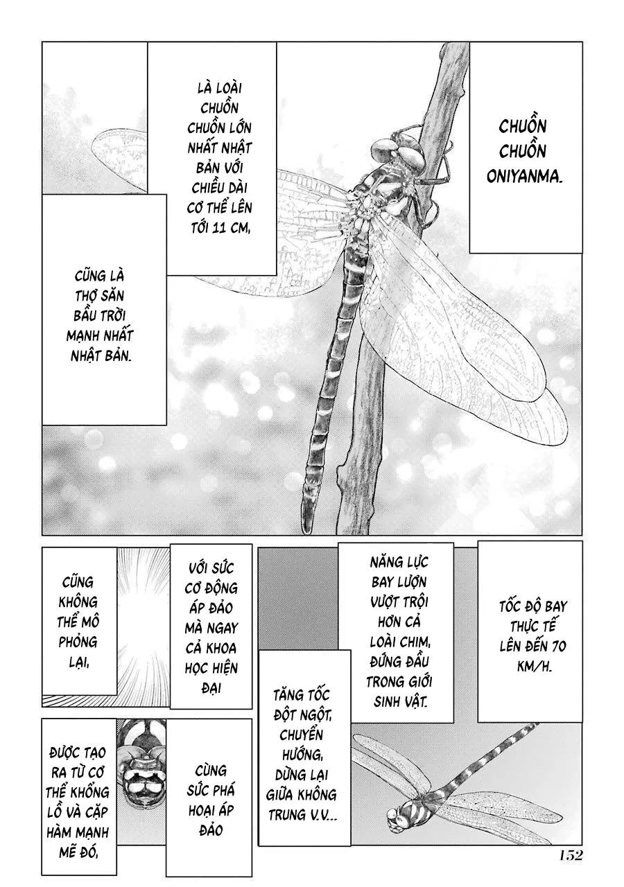 Choubu No Shinobi Chapter 18 - Trang 28