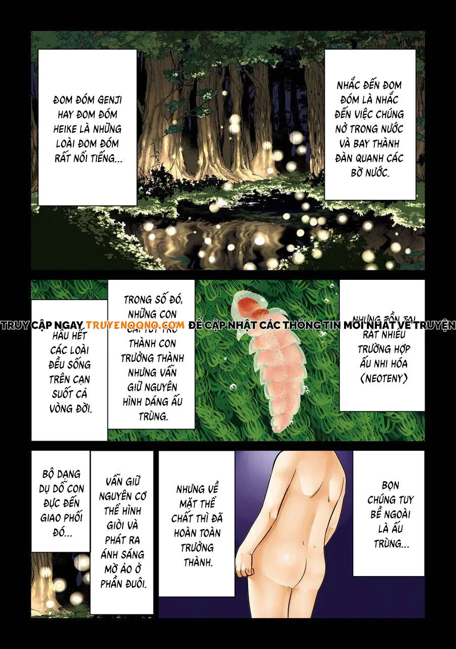 Choubu No Shinobi Chapter 18 - Trang 3