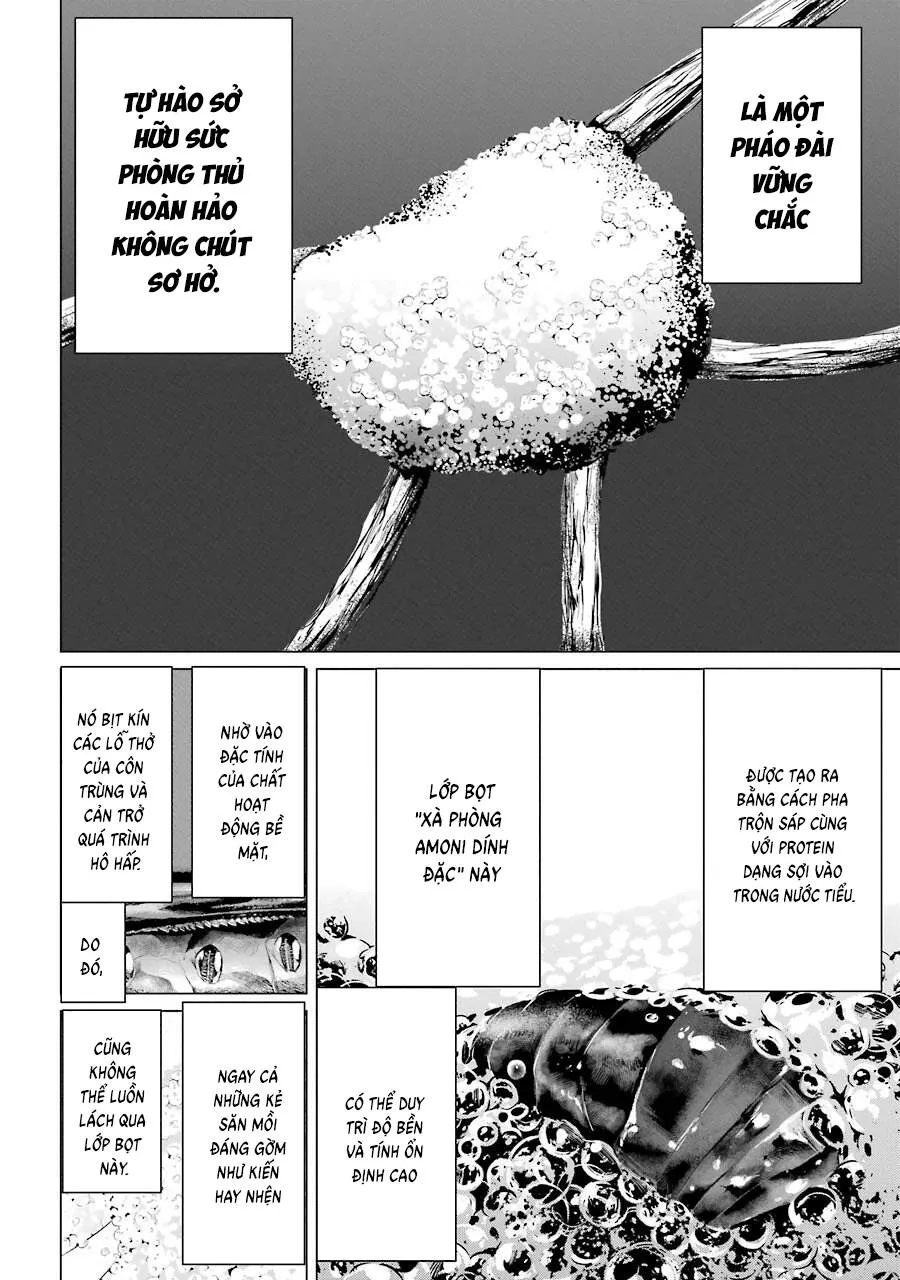 Choubu No Shinobi Chapter 2 - Trang 23