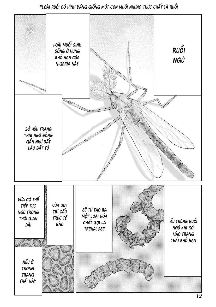 Choubu No Shinobi Chapter 21 - Trang 13
