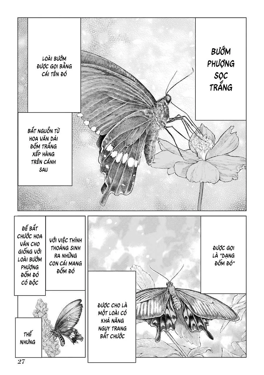 Choubu No Shinobi Chapter 21 - Trang 27