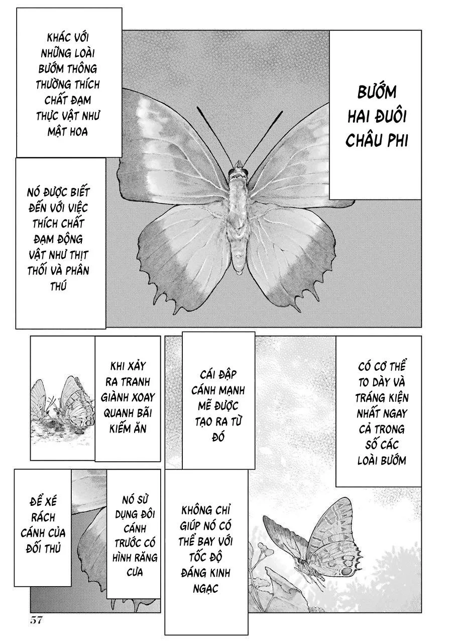 Choubu No Shinobi Chapter 22 - Trang 10