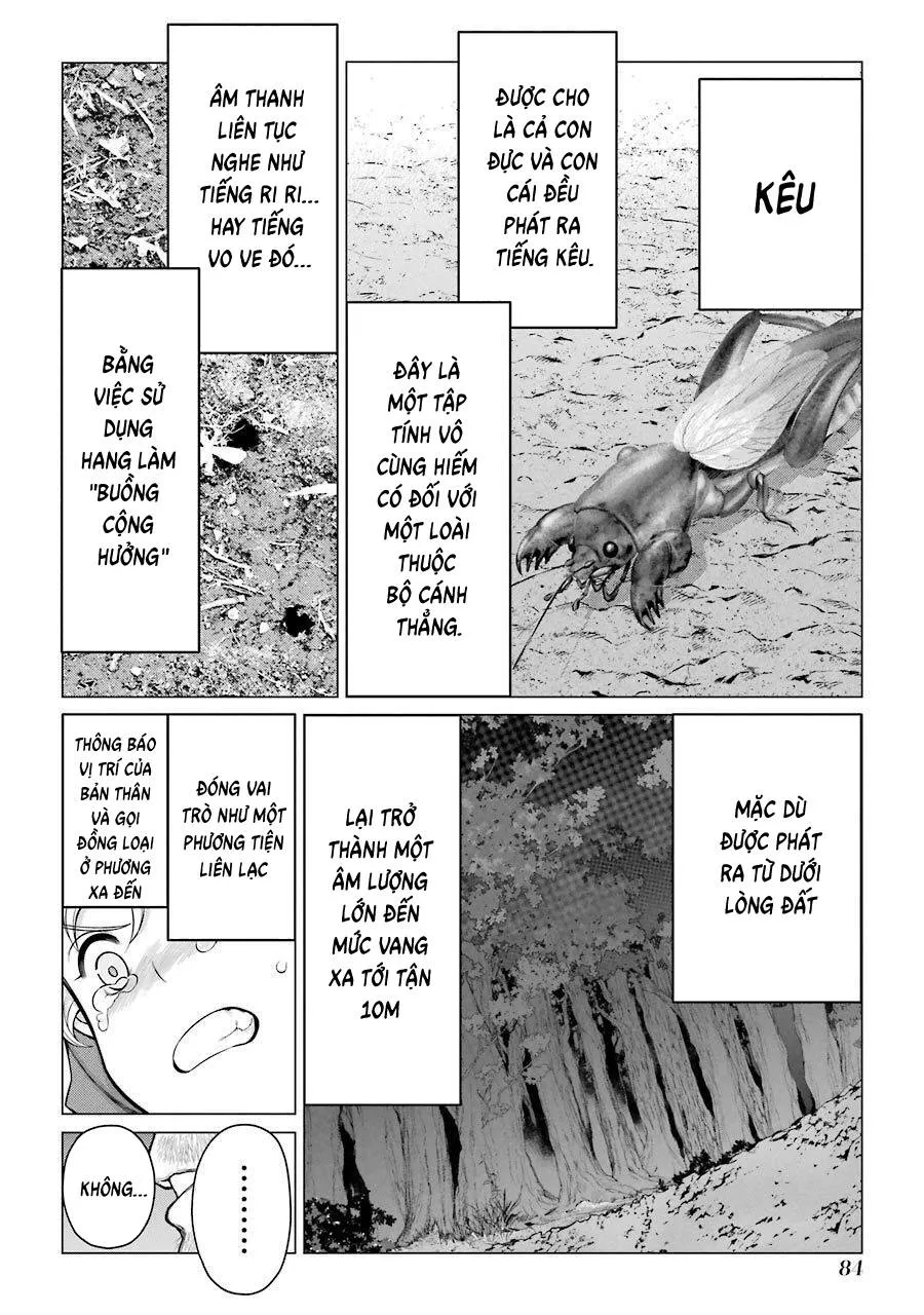 Choubu No Shinobi Chapter 22 - Trang 35