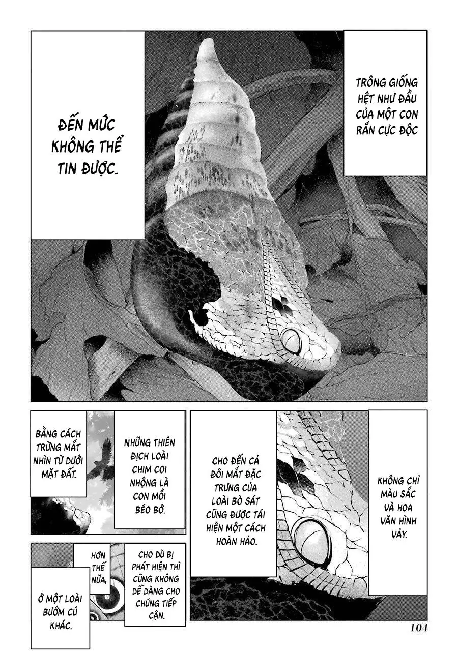 Choubu No Shinobi Chapter 7 - Trang 31