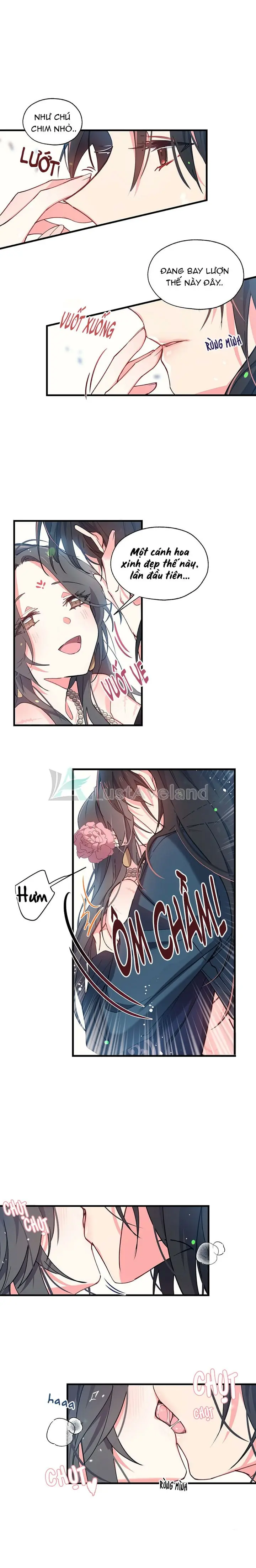 Chú Chim Nhỏ Của Yêu Tinh Chapter 5 - Trang 8