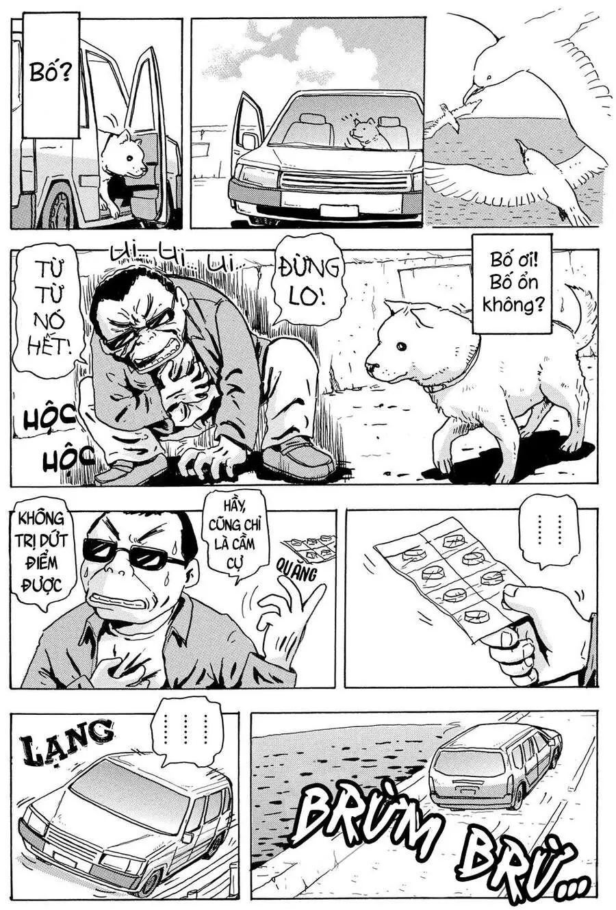 Chú Chó Gác Sao Chapter 3 - Trang 13