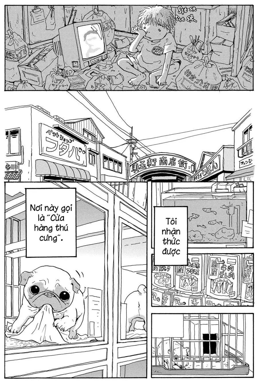 Chú Chó Gác Sao Chapter 9 - Trang 10