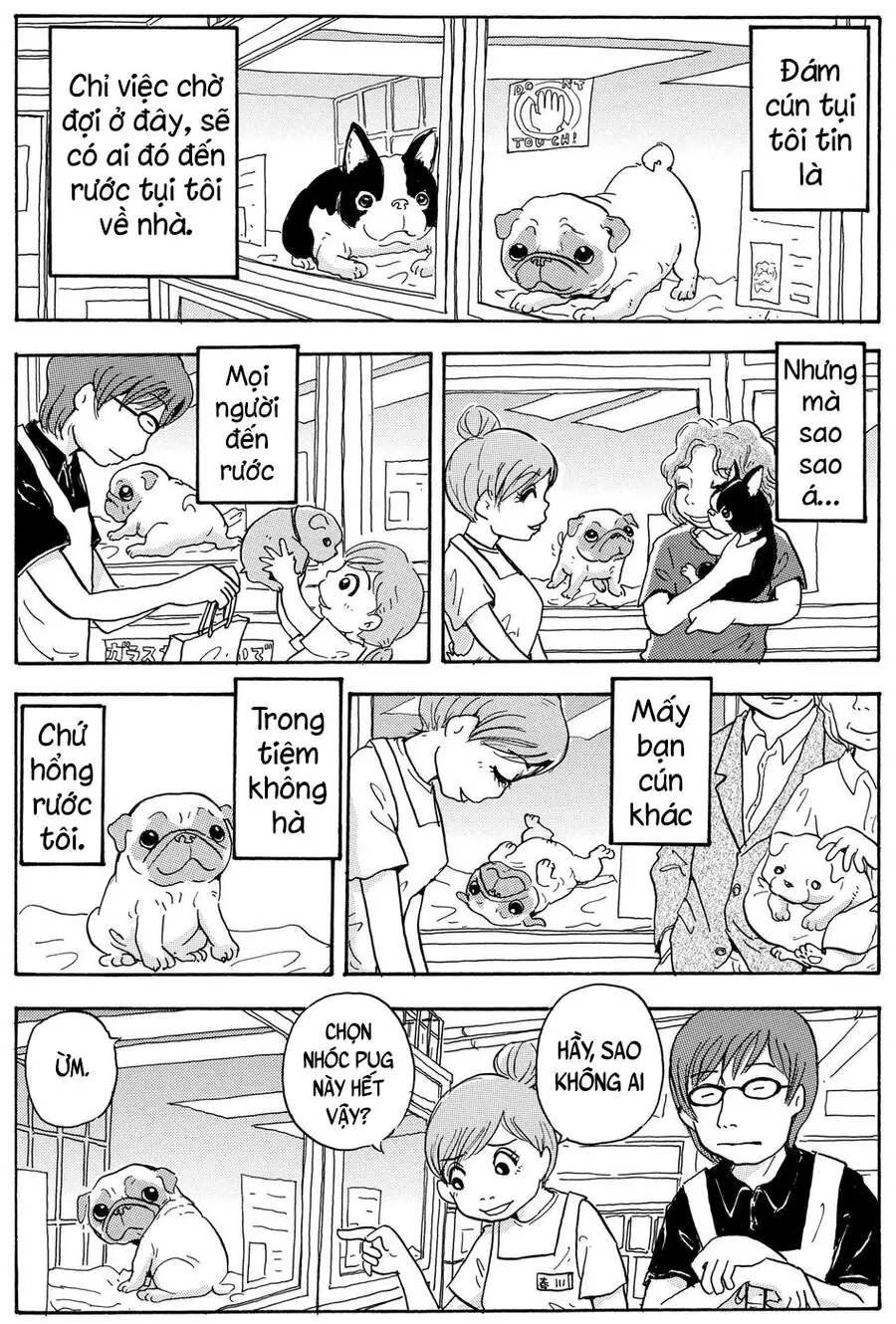 Chú Chó Gác Sao Chapter 9 - Trang 11