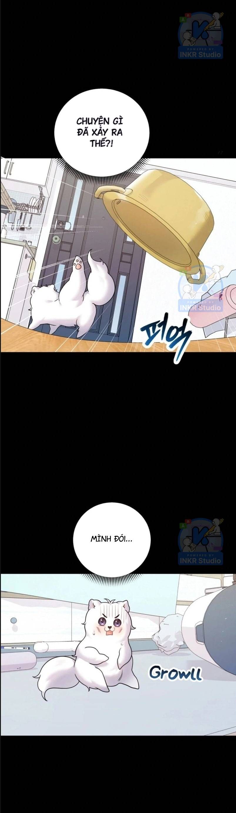 Chú Cún Con Đầy Nam Tính Chapter 3.1 - Trang 14