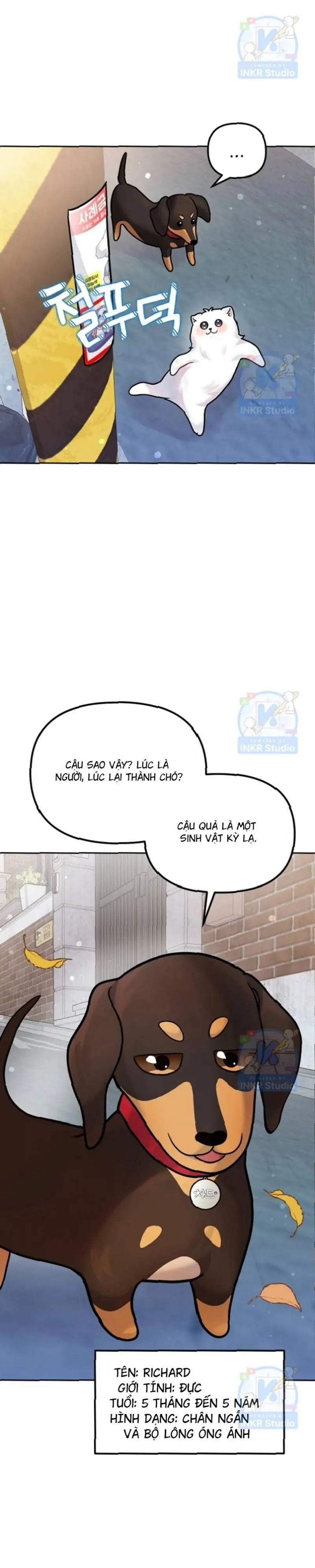 Chú Cún Con Đầy Nam Tính Chapter 9.42 - Trang 48