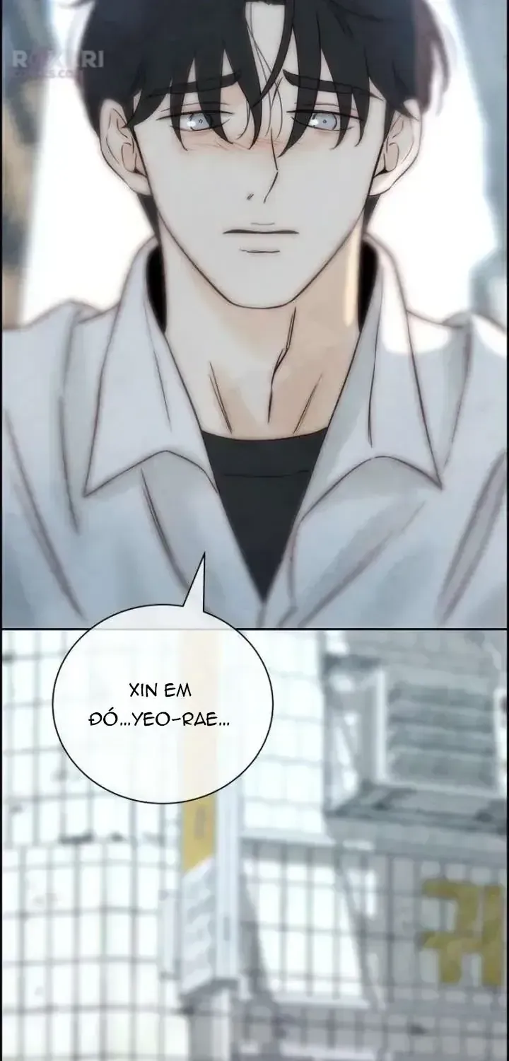 Chưa Từng Chạm Tới Em Chapter 12 - Trang 13