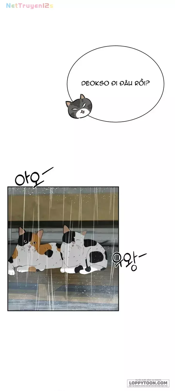 Chưa Từng Chạm Tới Em Chapter 19 - Trang 16