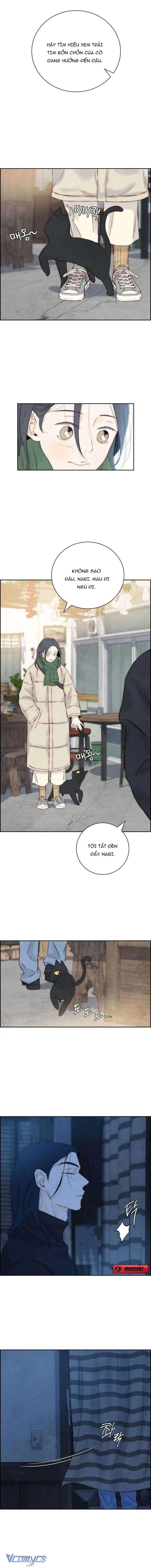 Chưa Từng Chạm Tới Em Chapter 3 - Trang 17