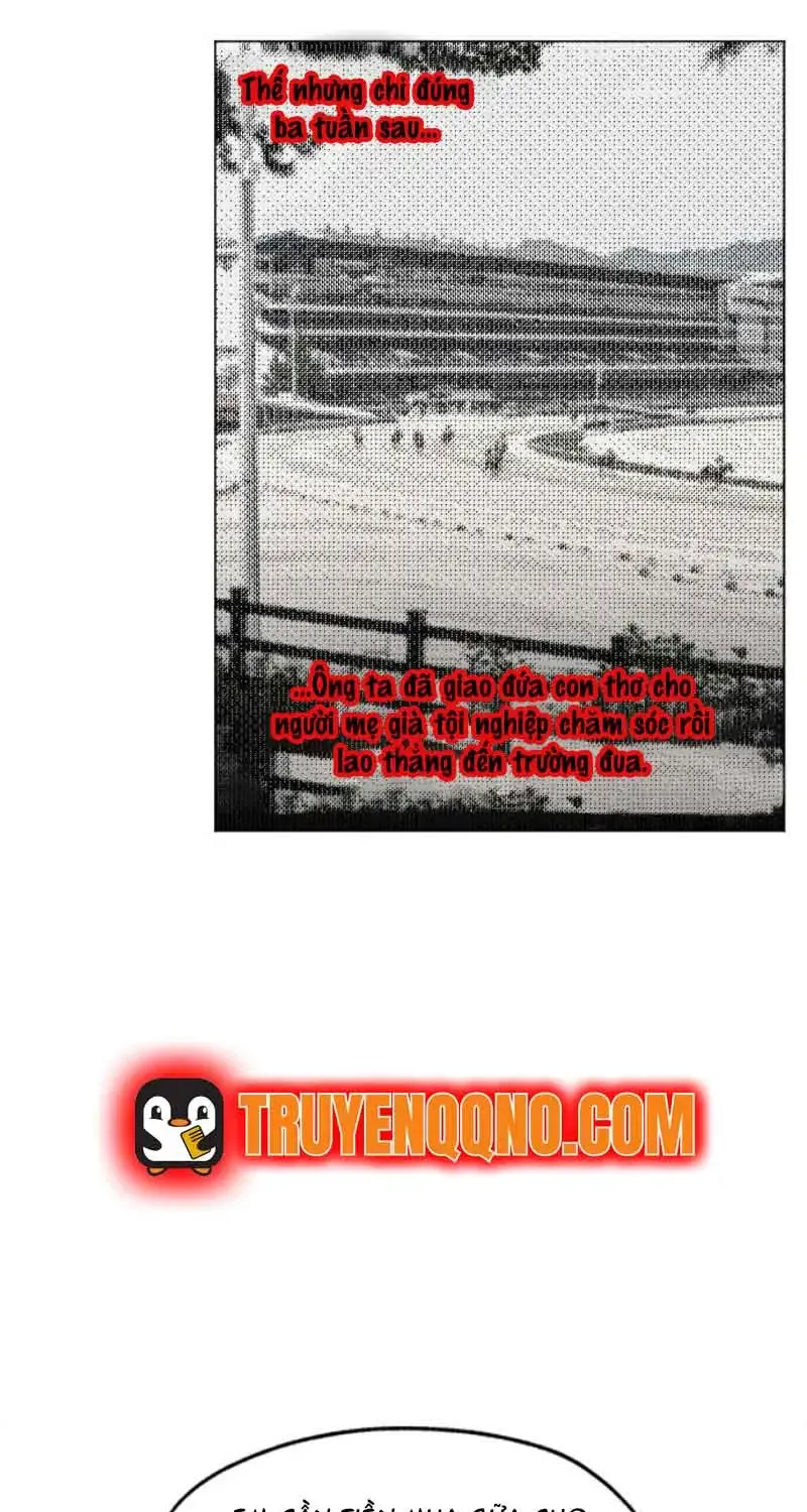 Chứng Minh Phẩm Giá Chapter 19 - Trang 17