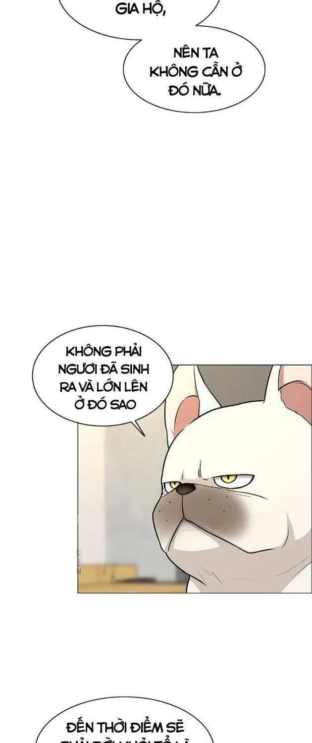 Chước Đao Chapter 55 - Trang 12