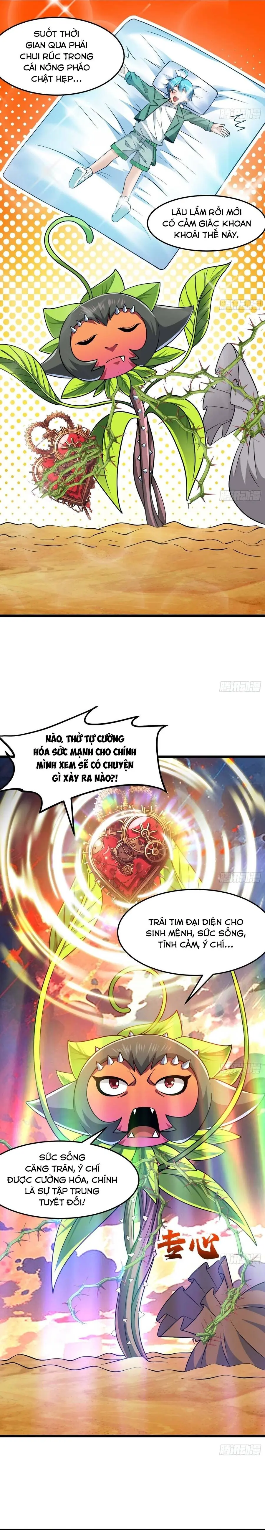 Chuyển Sinh Thành Một Cái Cây Ăn Thịt Chapter 65 - Trang 11