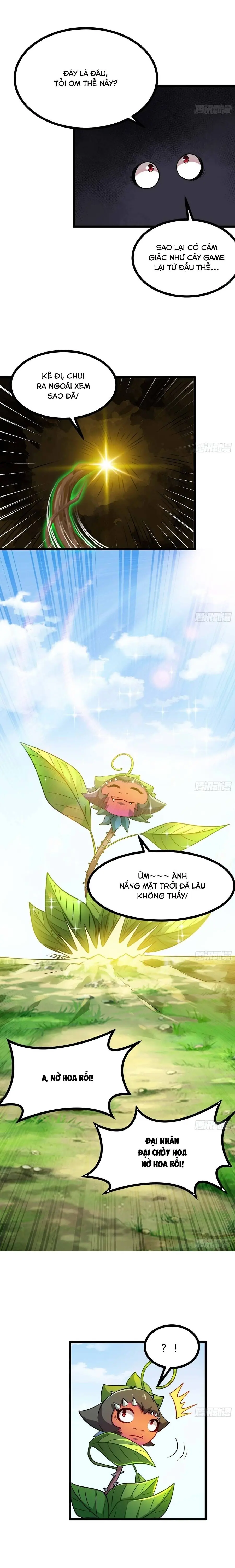 Chuyển Sinh Thành Một Cái Cây Ăn Thịt Chapter 66 - Trang 21