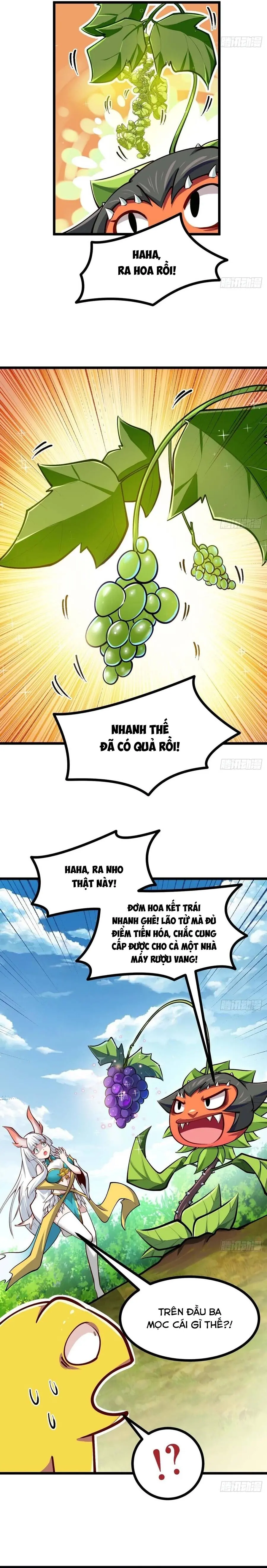 Chuyển Sinh Thành Một Cái Cây Ăn Chapter 15 - Trang 9