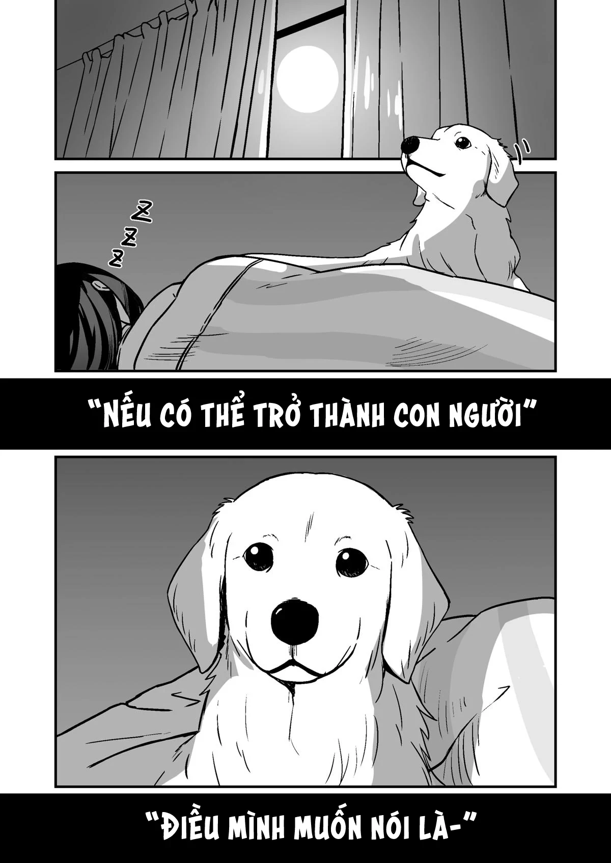 Chuyện Về Cô Cún Cưng Hóa Thành Người Chapter 1 - Trang 3