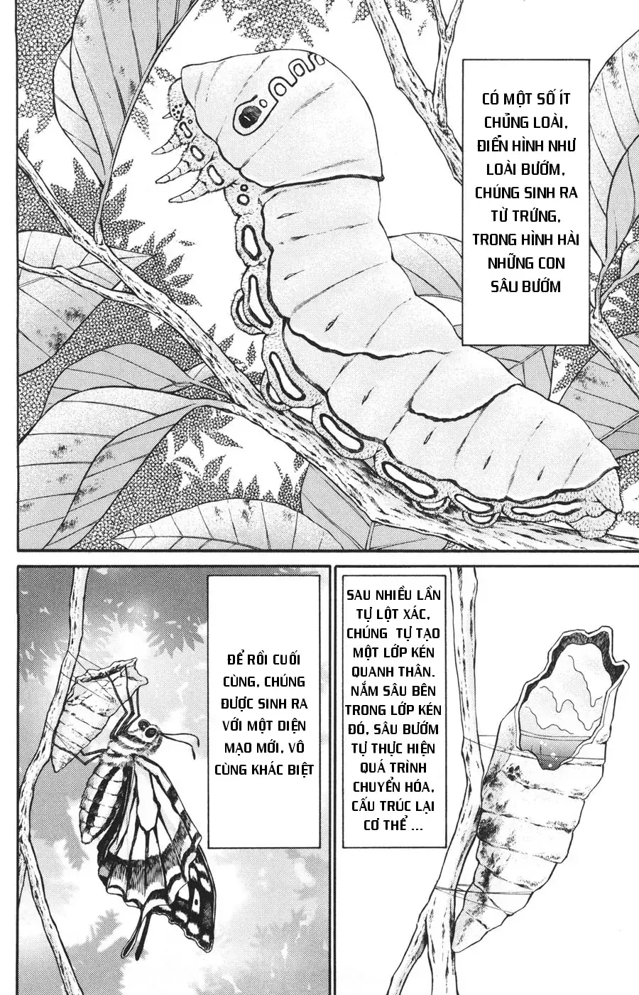 C.m.b -  (Hồ Sơ Vụ Án Của Bảo Tàng Shinra) Chapter 21 - Trang 5