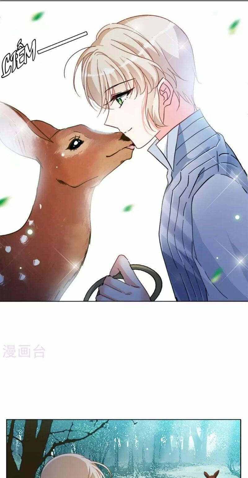 Cô ấy đến rồi, xin hãy nằm xuống! Chapter 117 - Trang 12