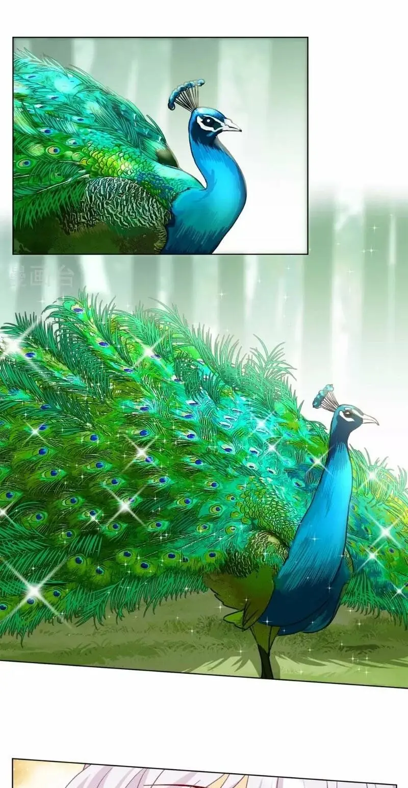 Cô ấy đến rồi, xin hãy nằm xuống! Chapter 119 - Trang 14
