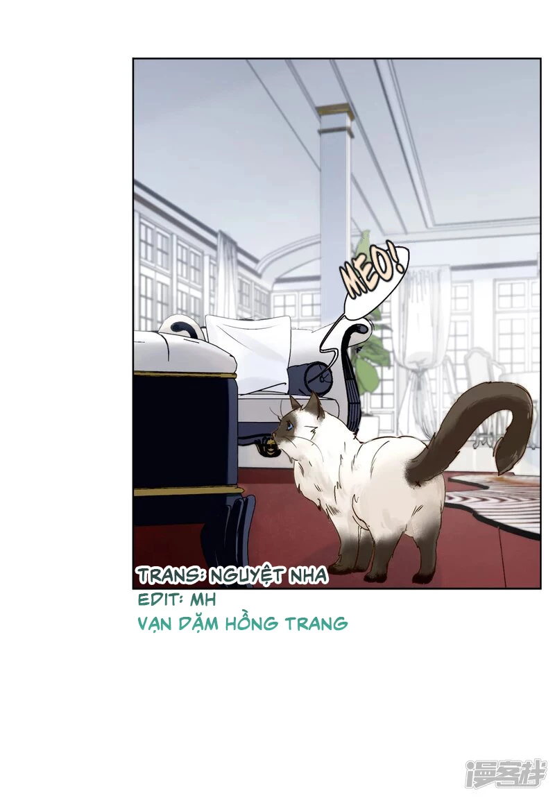 Cô ấy đến rồi, xin hãy nằm xuống! Chapter 12 - Trang 21