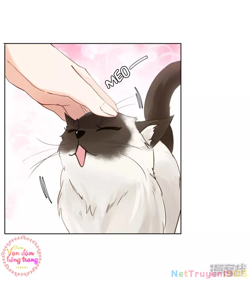 Cô ấy đến rồi, xin hãy nằm xuống! Chapter 13 - Trang 4