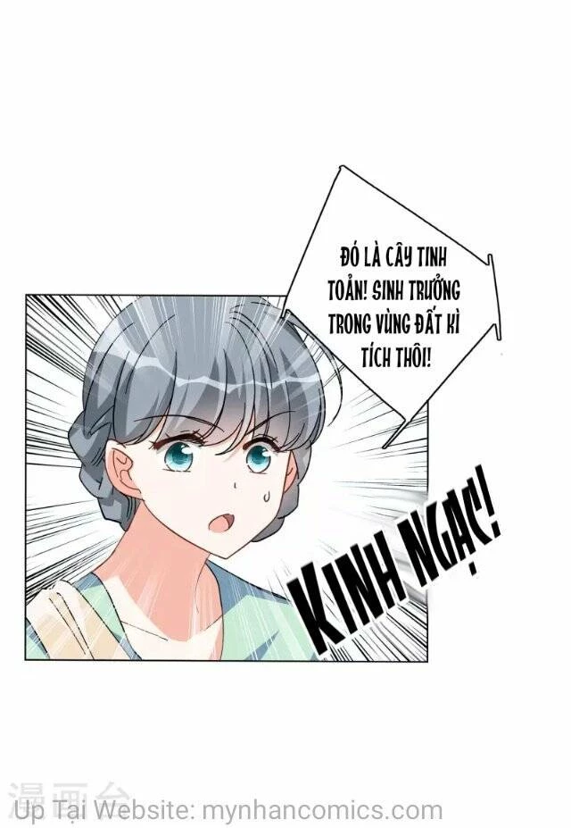 Cô ấy đến rồi, xin hãy nằm xuống! Chapter 135 - Trang 5