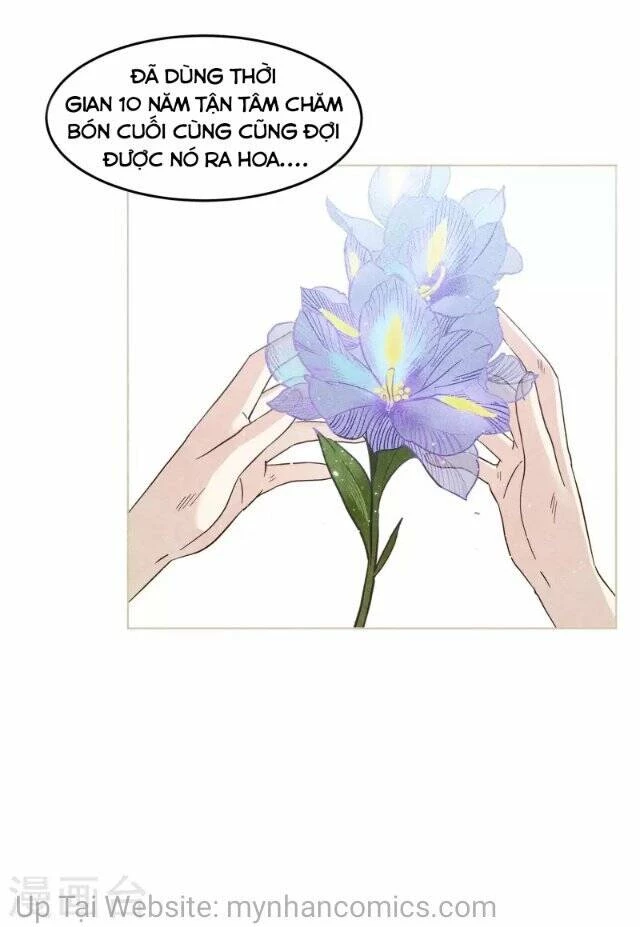 Cô ấy đến rồi, xin hãy nằm xuống! Chapter 137 - Trang 29