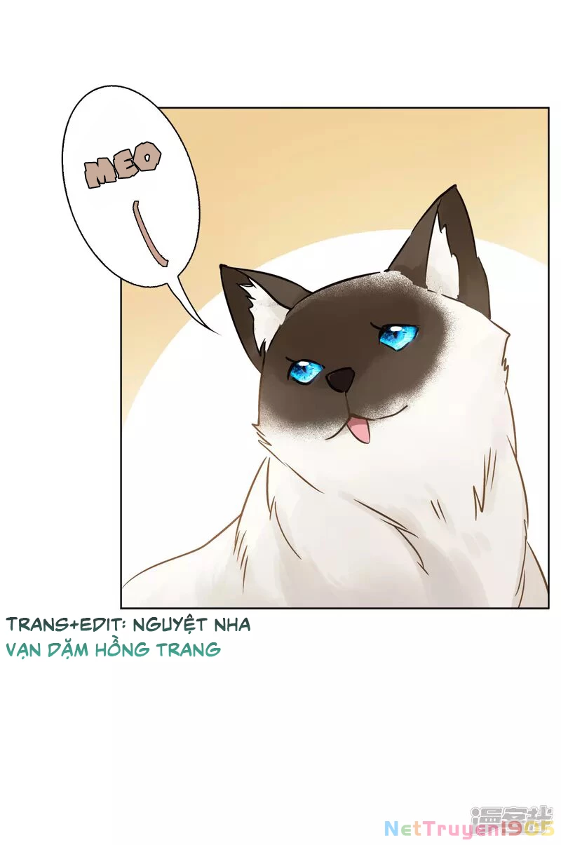 Cô ấy đến rồi, xin hãy nằm xuống! Chapter 14 - Trang 23