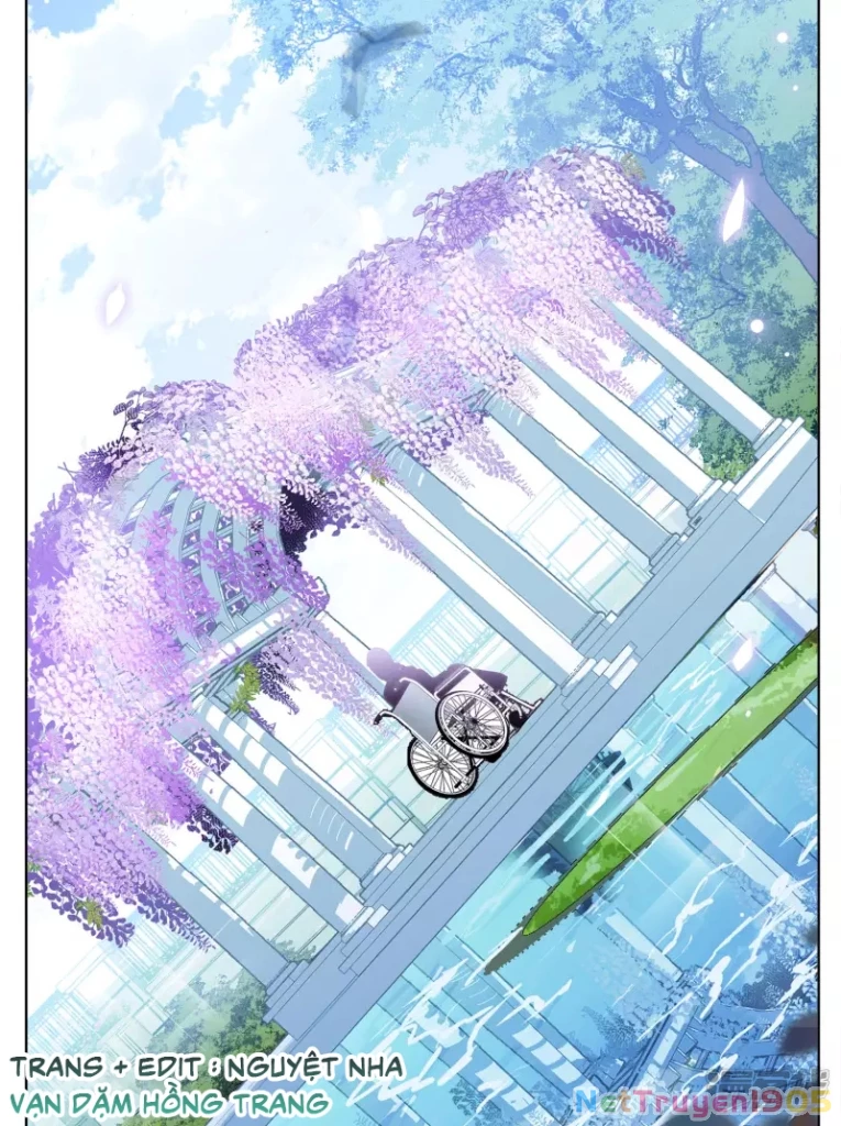 Cô ấy đến rồi, xin hãy nằm xuống! Chapter 178 - Trang 19