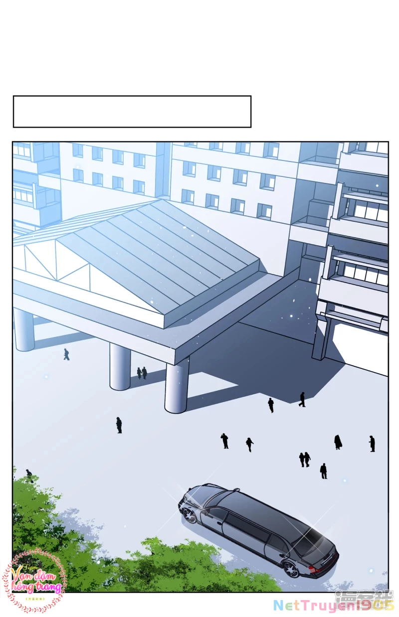 Cô ấy đến rồi, xin hãy nằm xuống! Chapter 182 - Trang 14