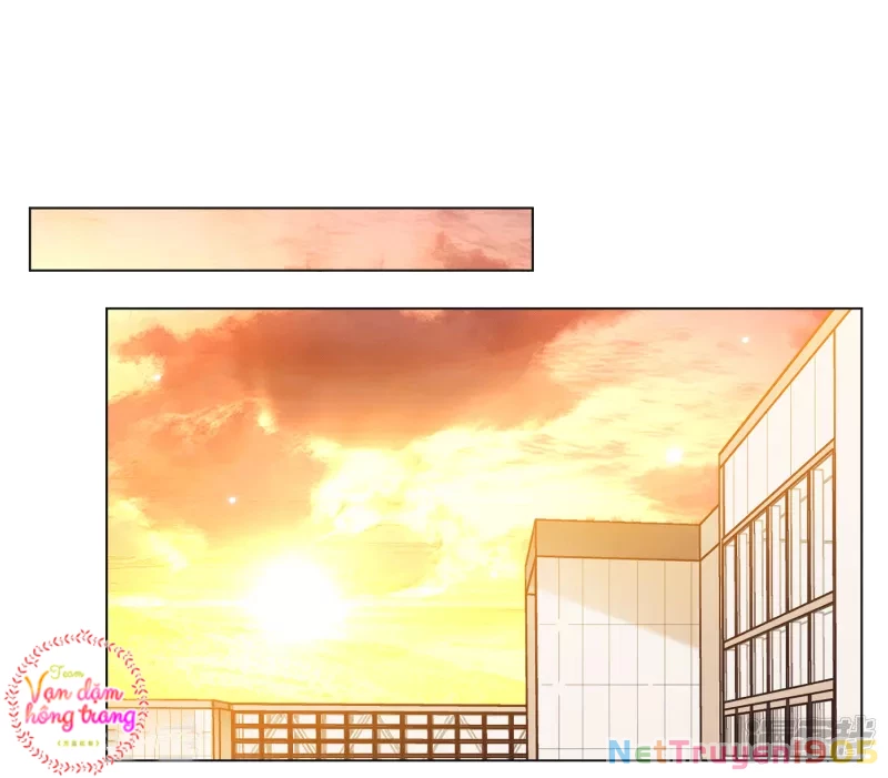 Cô ấy đến rồi, xin hãy nằm xuống! Chapter 189 - Trang 4