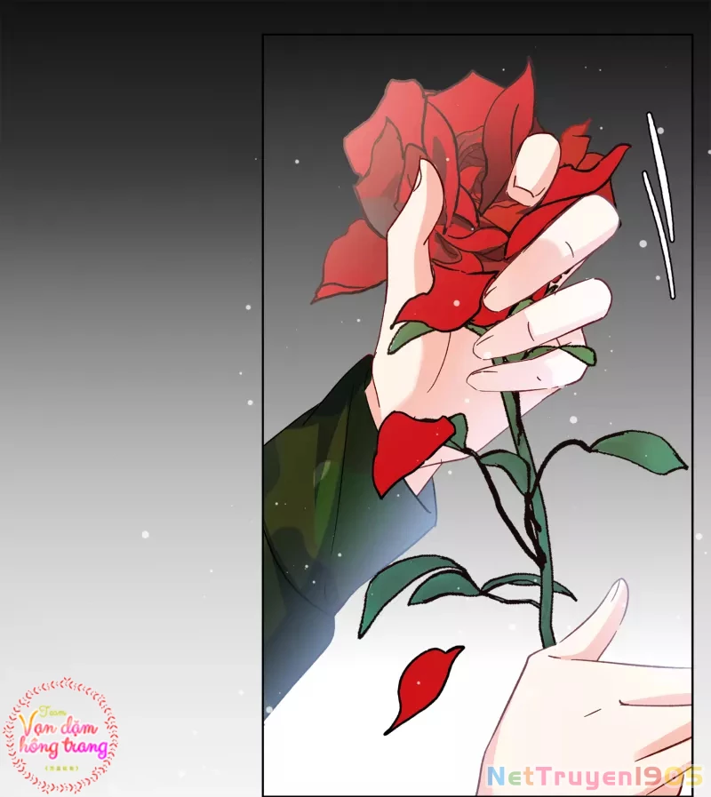 Cô ấy đến rồi, xin hãy nằm xuống! Chapter 191 - Trang 31