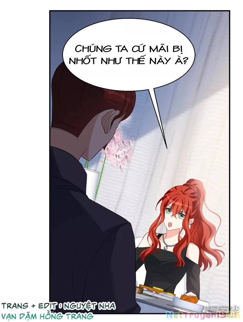 Cô ấy đến rồi, xin hãy nằm xuống! Chapter 195 - Trang 19