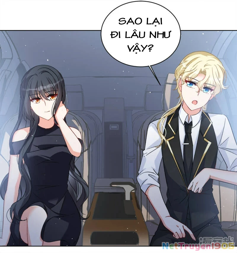 Cô ấy đến rồi, xin hãy nằm xuống! Chapter 204 - Trang 18