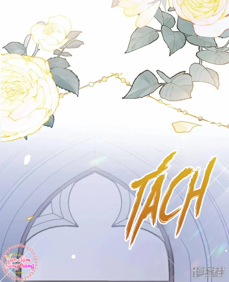 Cô ấy đến rồi, xin hãy nằm xuống! Chapter 205 - Trang 19