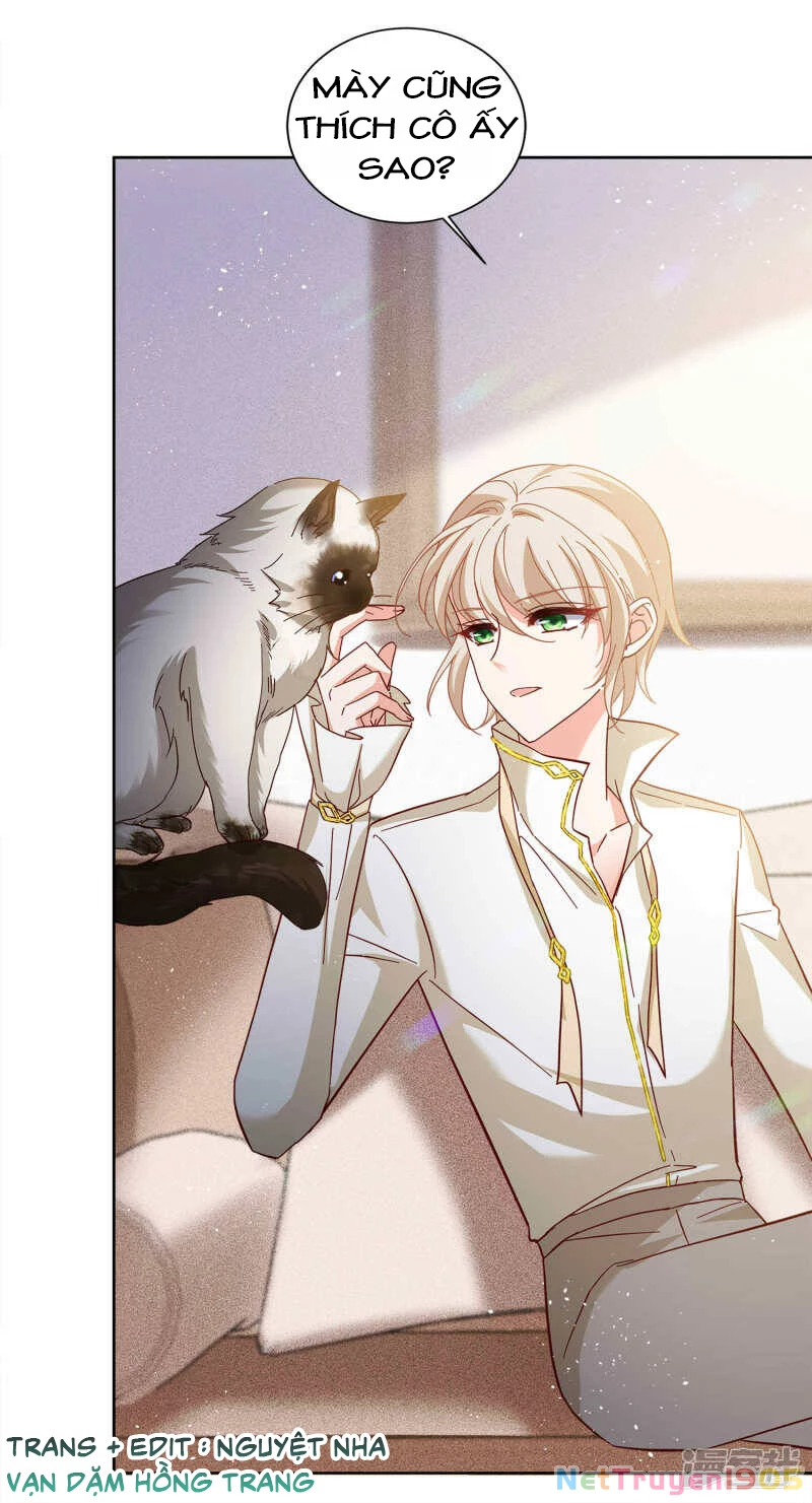 Cô ấy đến rồi, xin hãy nằm xuống! Chapter 209 - Trang 16