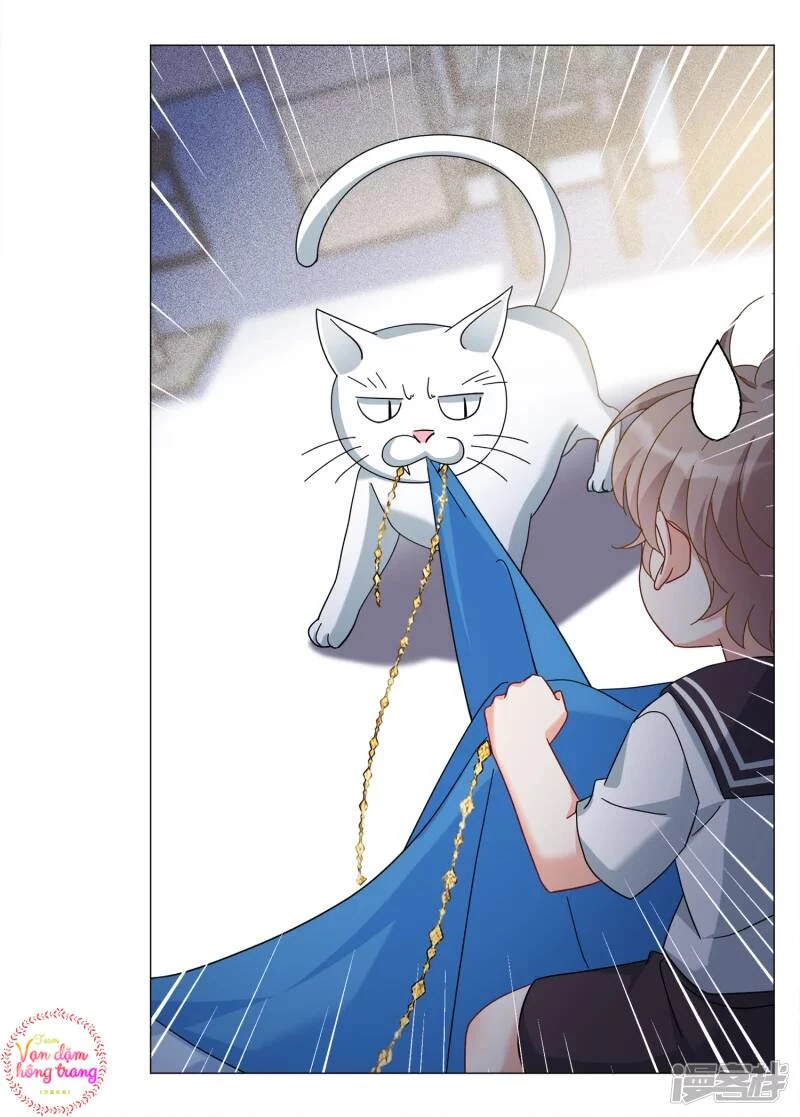 Cô ấy đến rồi, xin hãy nằm xuống! Chapter 231 - Trang 21