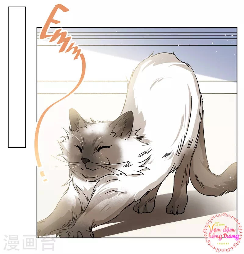 Cô ấy đến rồi, xin hãy nằm xuống! Chapter 235 - Trang 4