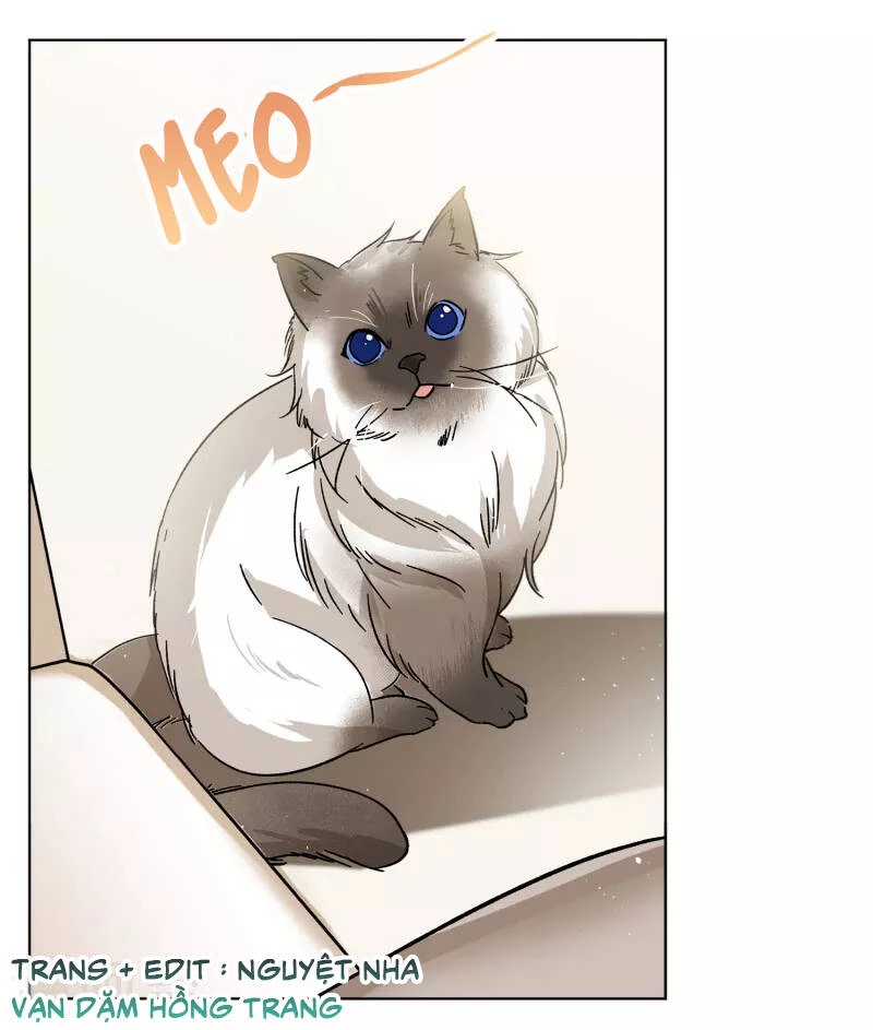 Cô ấy đến rồi, xin hãy nằm xuống! Chapter 235 - Trang 5