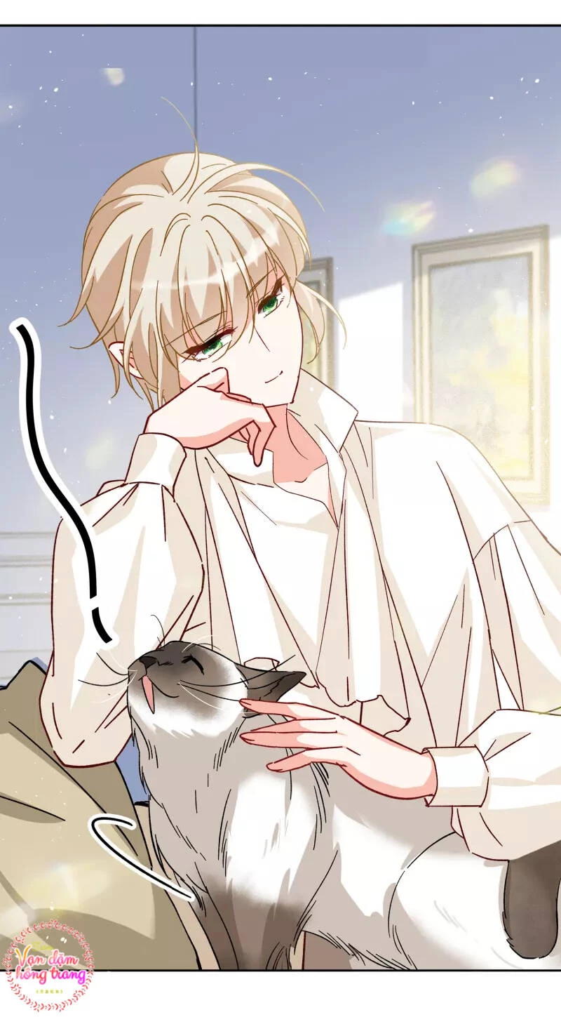 Cô ấy đến rồi, xin hãy nằm xuống! Chapter 235 - Trang 6